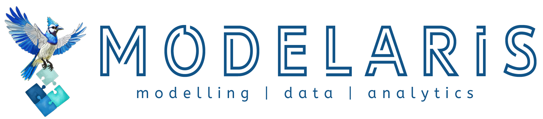 Modelaris – Modelling & Analytics